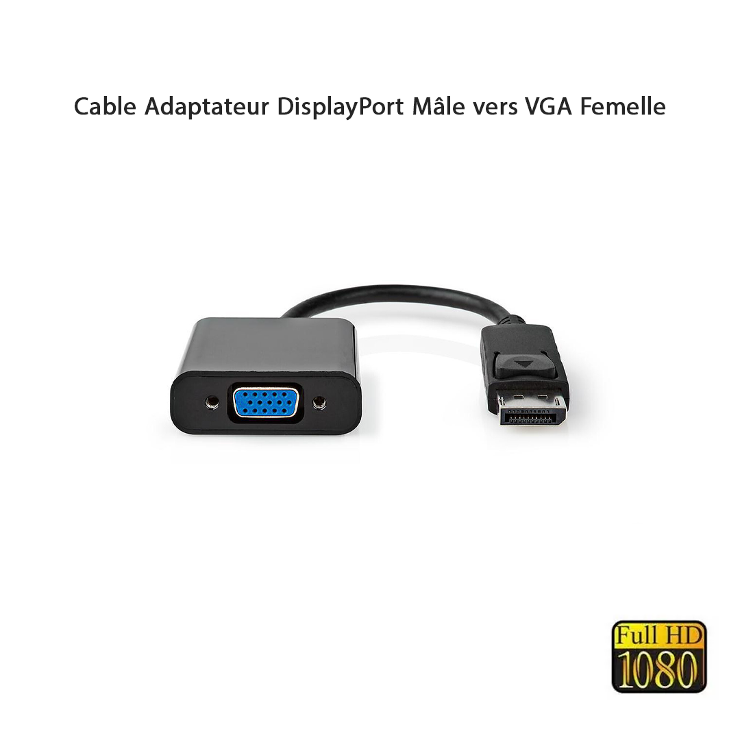 Adaptateur DisplayPort vers VGA