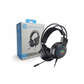 Casque Gamer HP H100 – Casque Stéréo avec Micro et Éclairage RGB