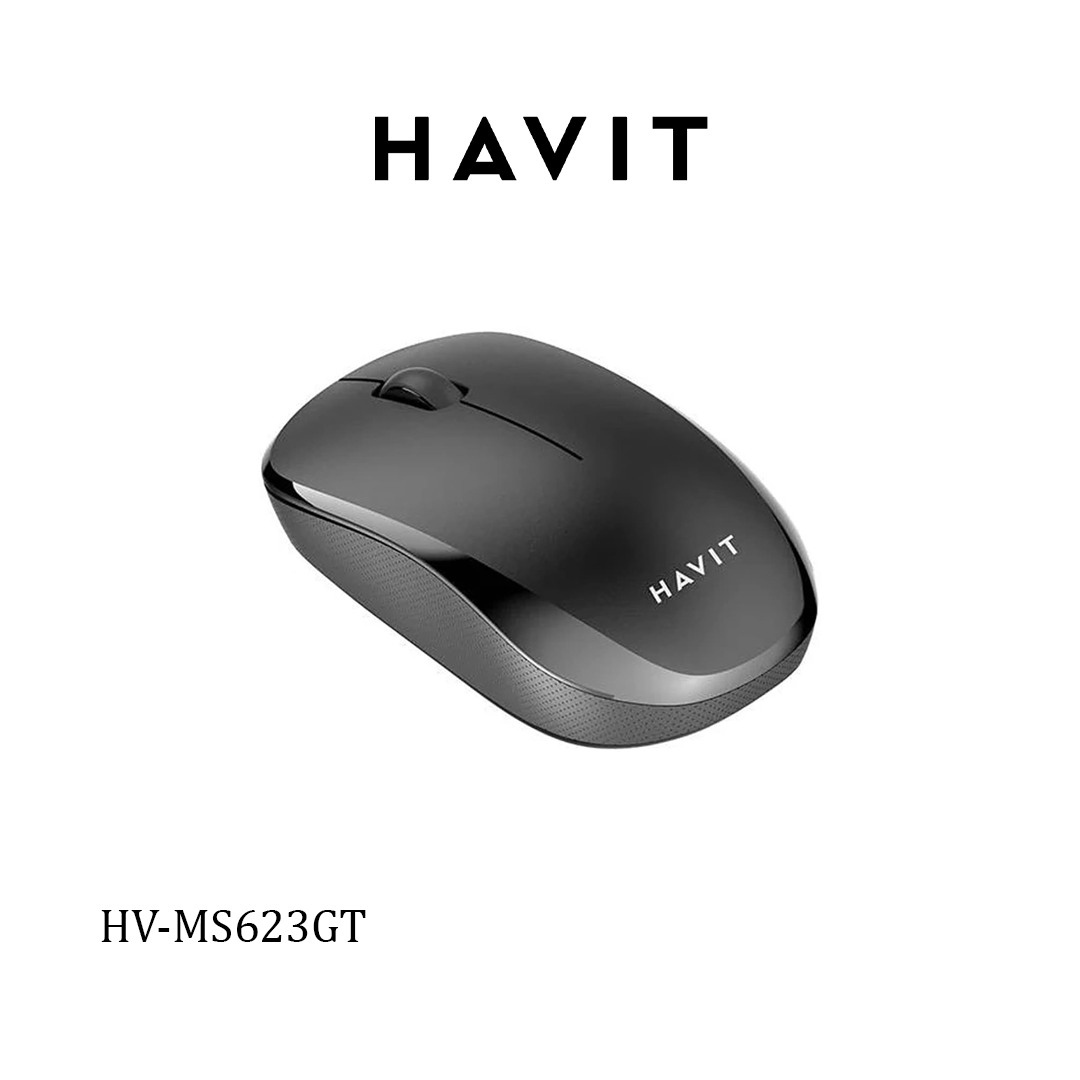 Souris Sans Fil Havit HV-MS623GT