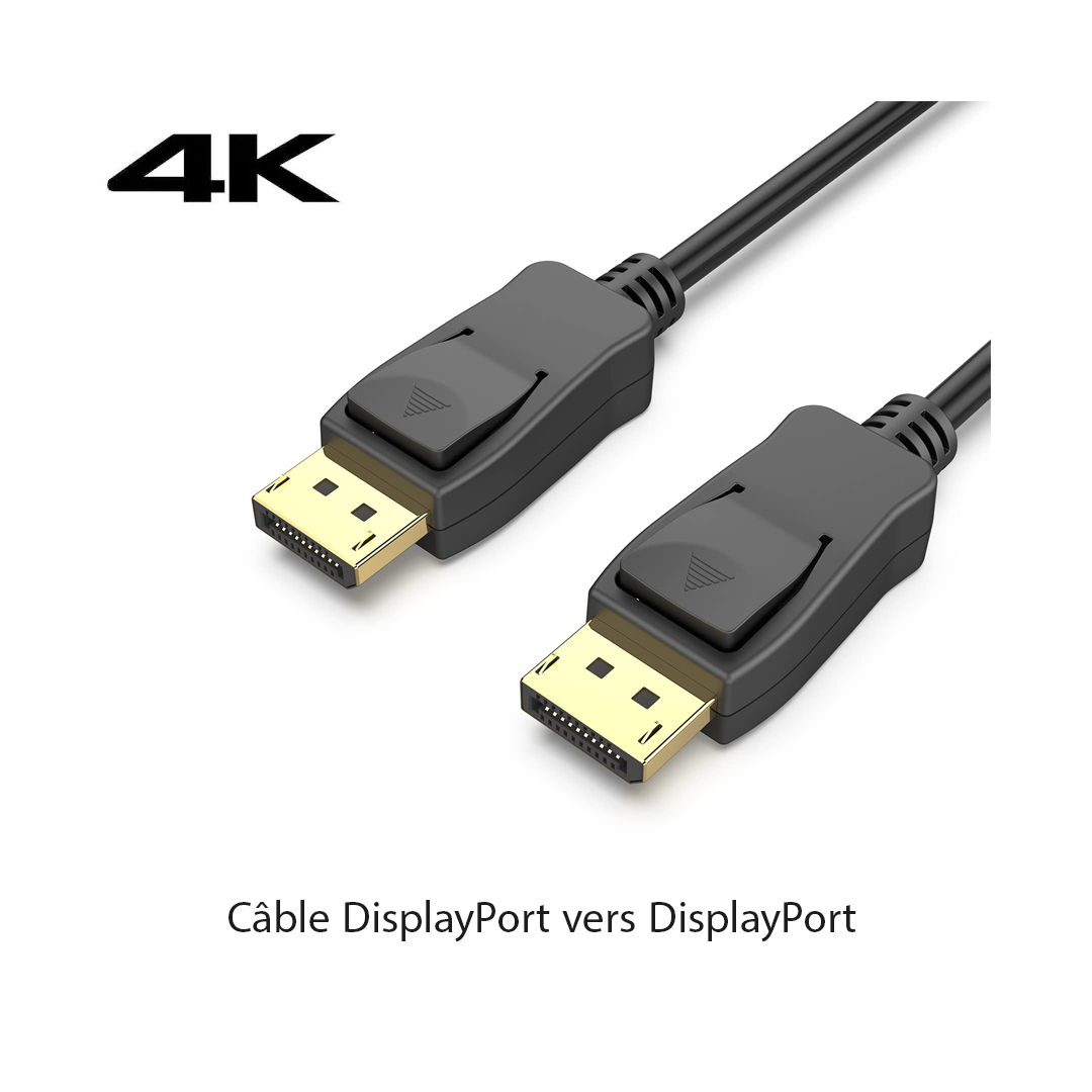 Cable DisplayPort vers DisplayPort