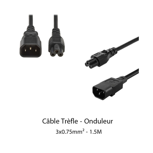 Cable Trèfle - Onduleur (3x0.75mm²) - 1.5M