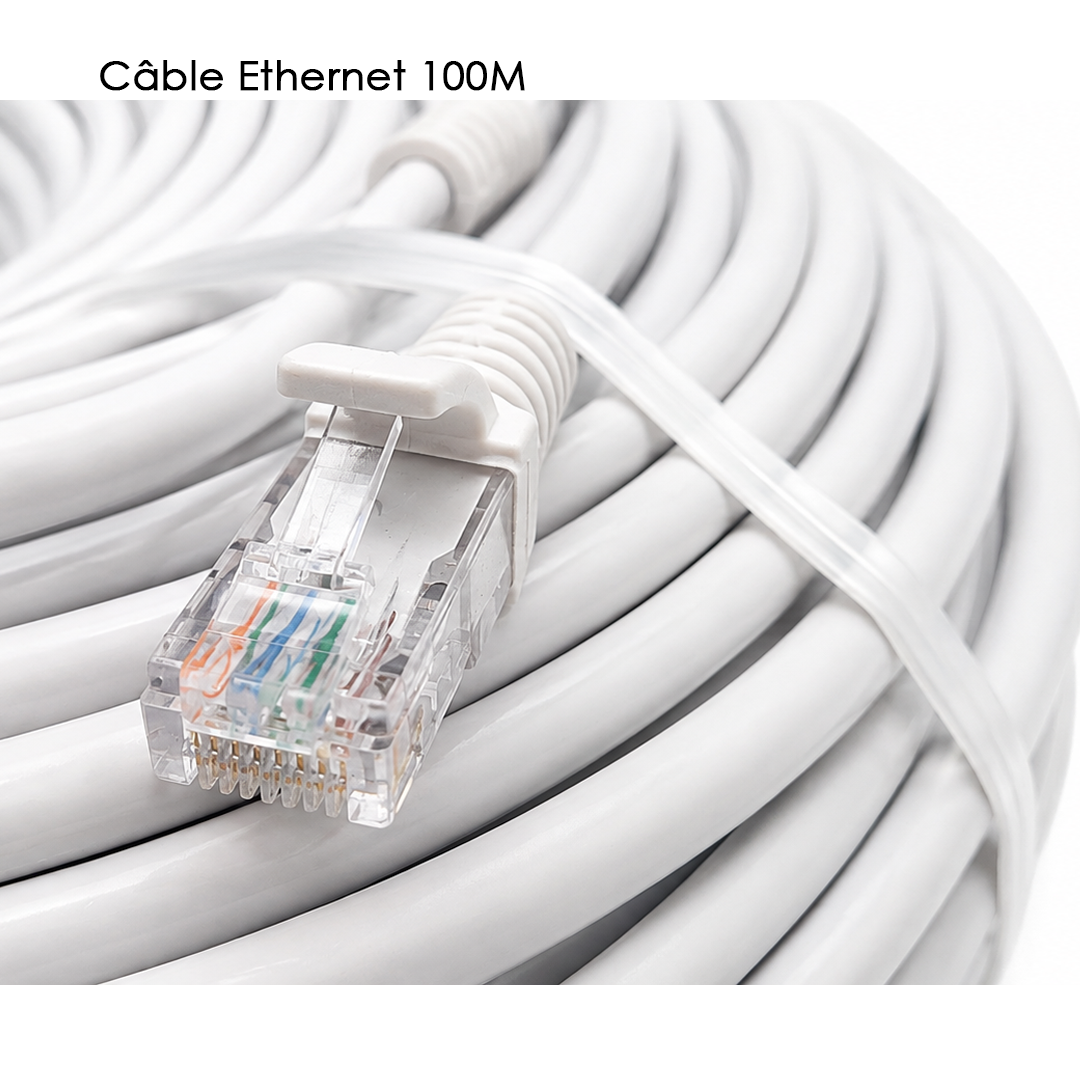 Cable Ethernet CAT6 100M AUVISTAR, connexion reseau stable et rapide. Facture entreprise et SAV chez ARMON STORE. Livraison rapide, commandez !