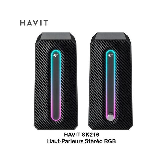 HAVIT Gamenote SK216 – Haut-Parleurs Stéréo RGB pour PC