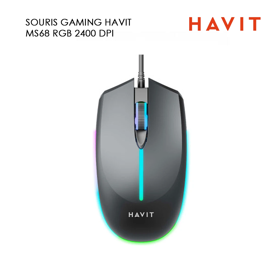 SOURIS GAMING HAVIT MS68 RGB 2400 DPI