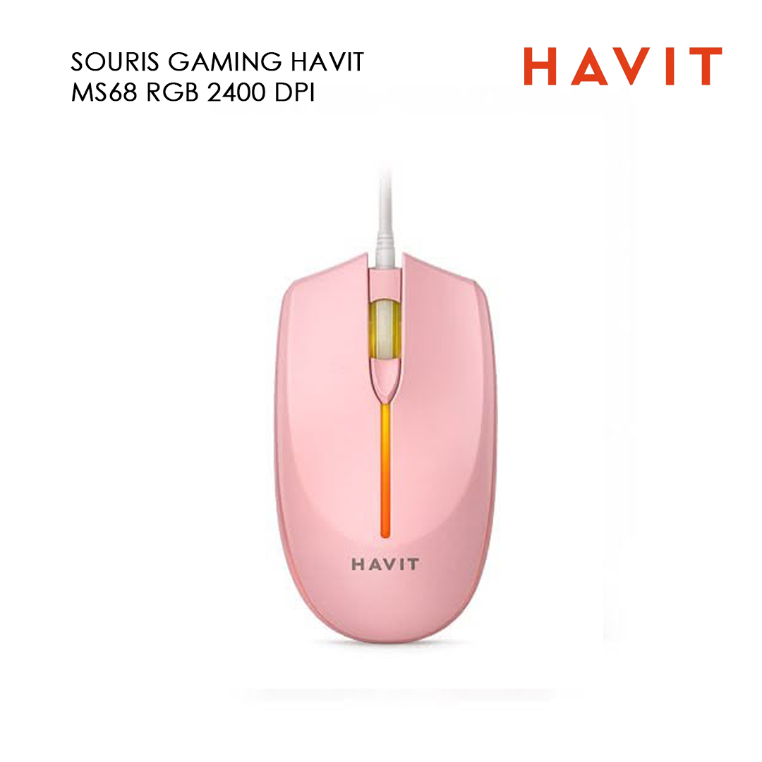 SOURIS GAMING HAVIT MS68 RGB 2400 DPI