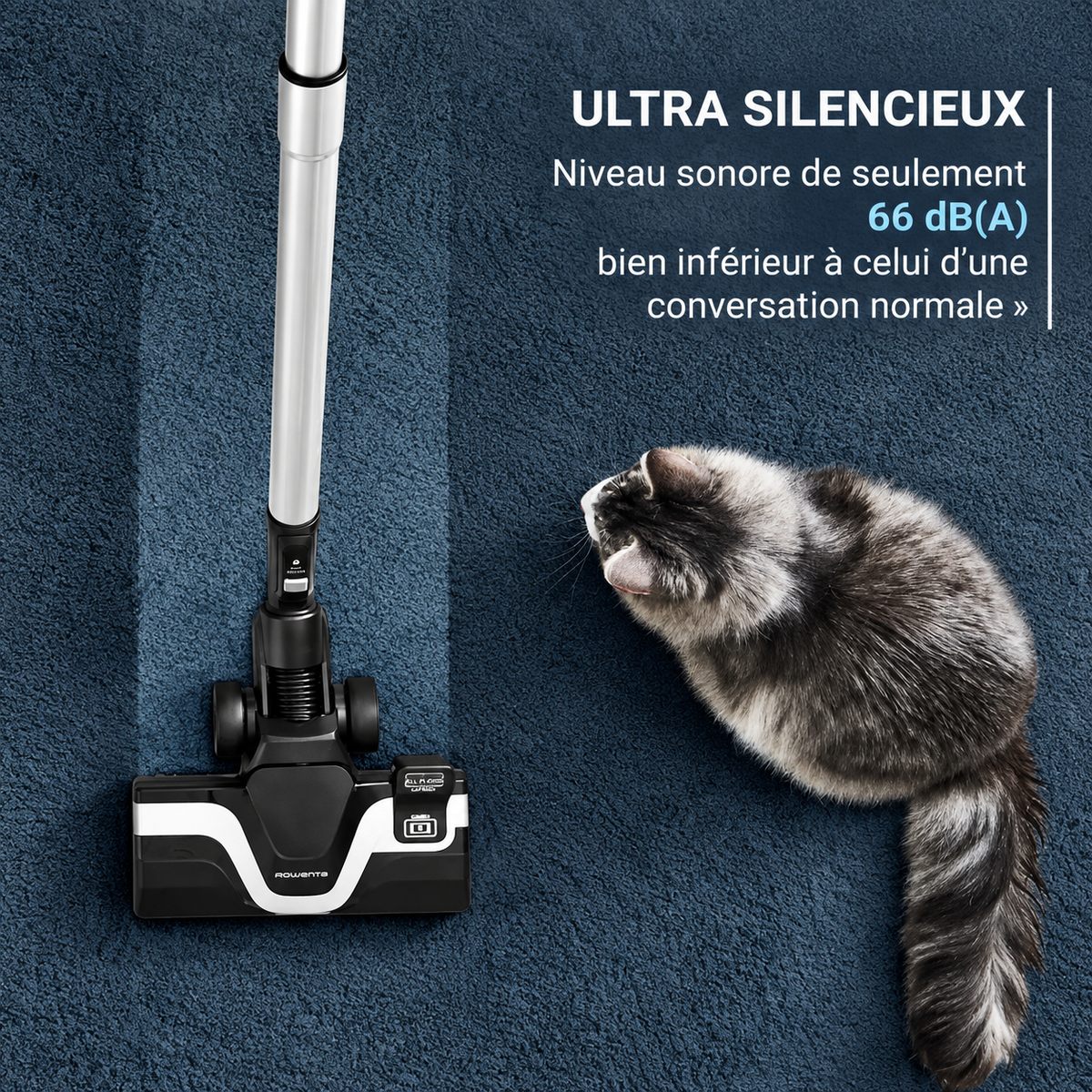 Rowenta Aspirateur sans sac Green Force Cyclonic RO7C71EA