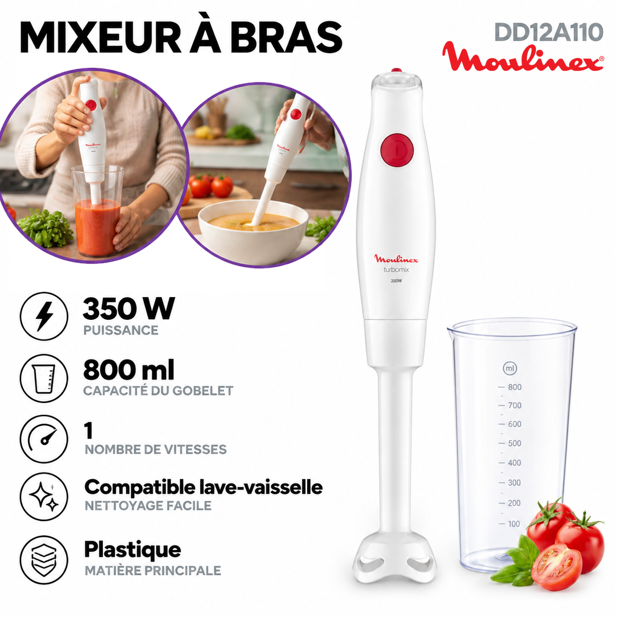 Mixeur Moulinex a Bras Turbomix 350w DD12A110